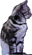 jerry.gif (13667 bytes)